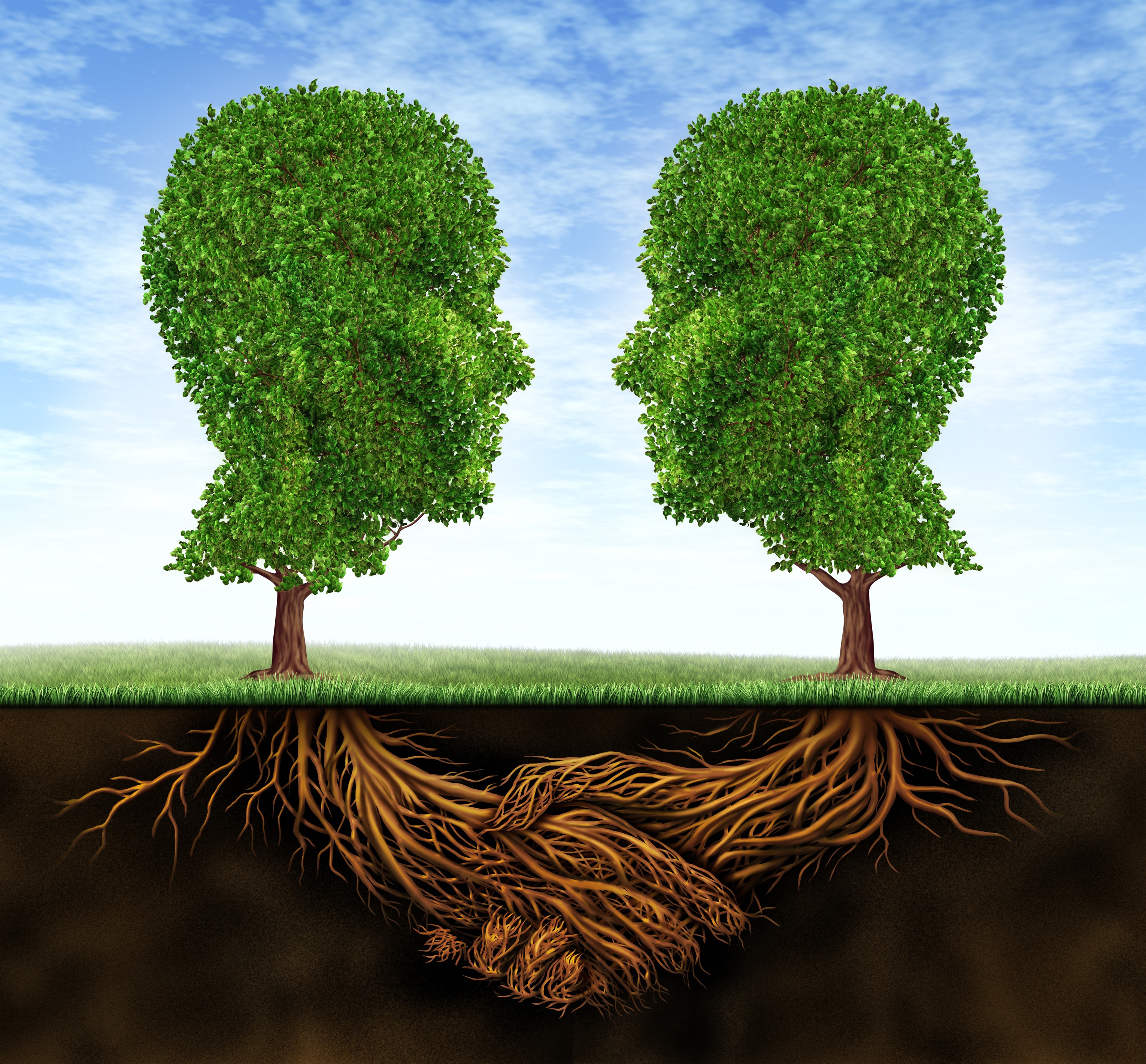 Business collaboration teamwork and growth with roots in the shape of a hand shake and trees as human heads for trust and integrity in a growing financial relationship for strong wealth success.